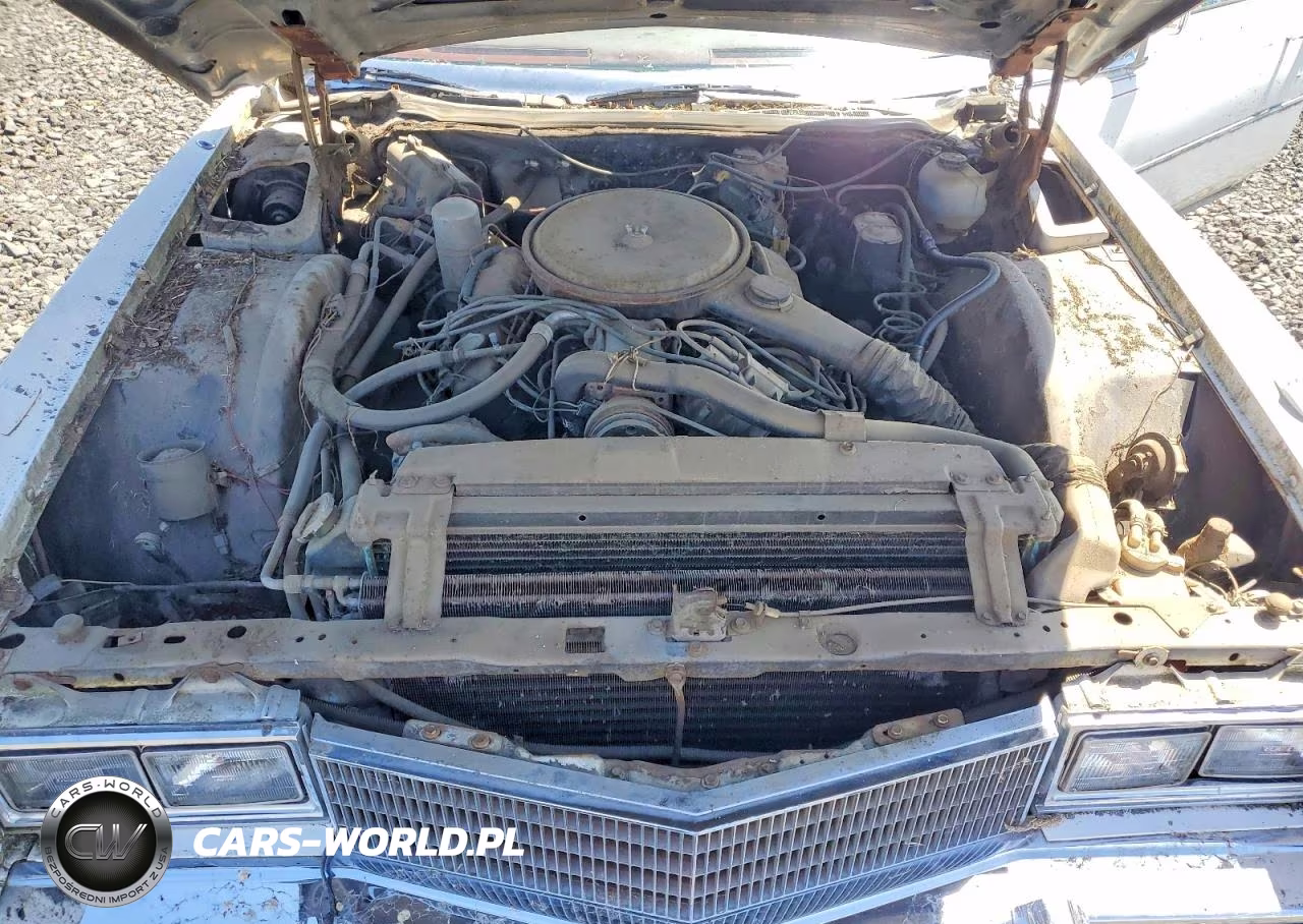 1977 Cadillac Eldorado VIN:6L47S7Q275968 - 11