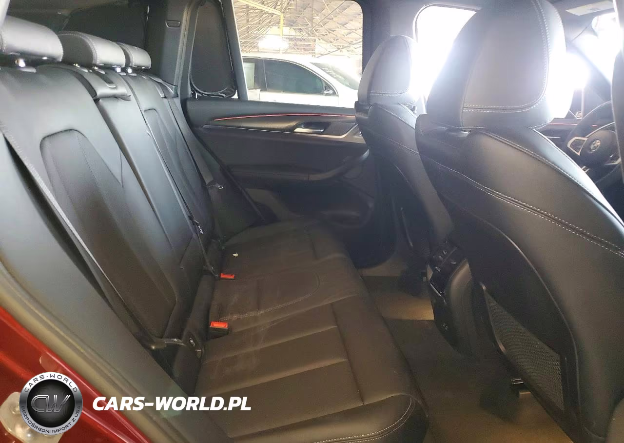 2023 BMW X3 Sdrive30I VIN:5UX43DP01P9R11545 - 10