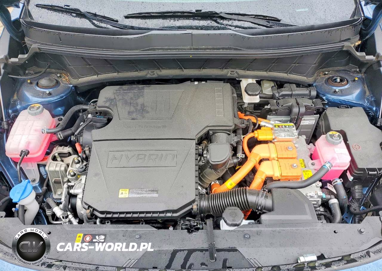 2025 Kia Niro Ex VIN:KNDCR3LE7S5253043 - 12