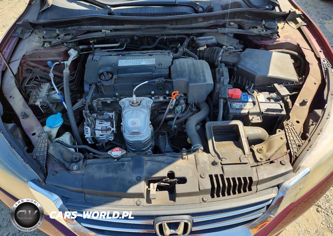 2013 Honda Accord Exl VIN:1HGCR2F89DA009907 - 11