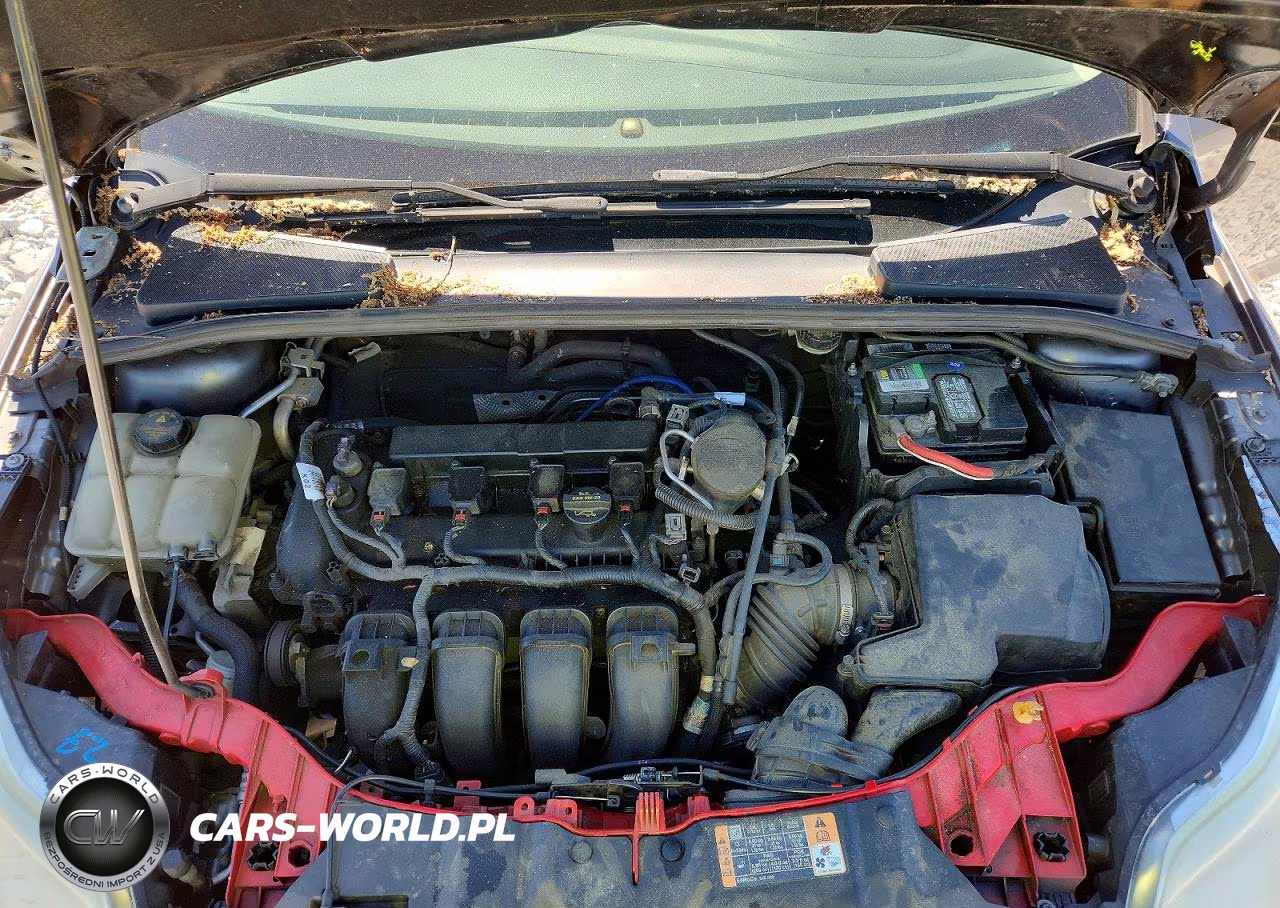 2014 Ford Focus Se VIN:1FADP3F29EL235709 - 11