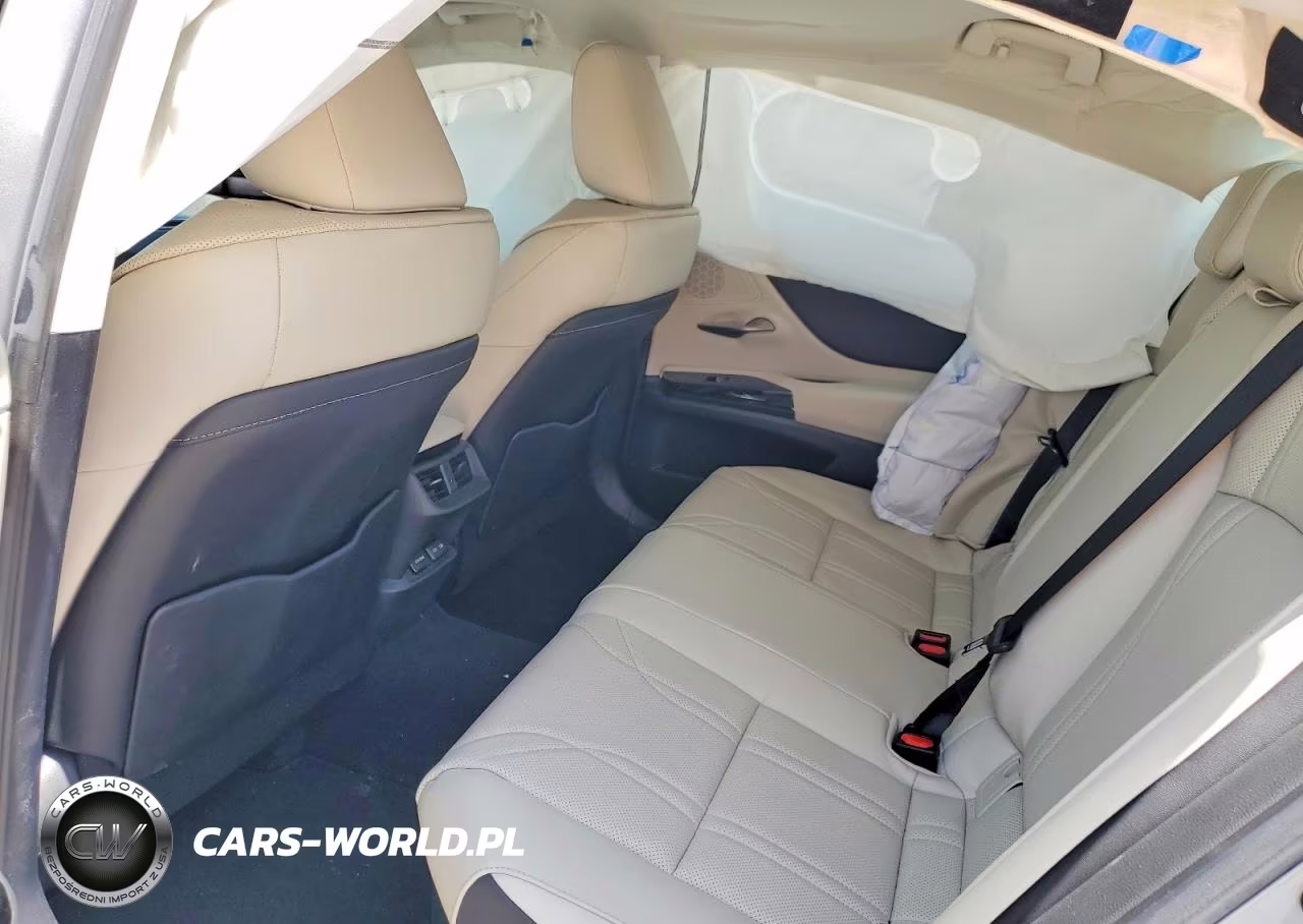 2025 Lexus Es 300H Luxury VIN:58AEA1C17SU063321 - 10