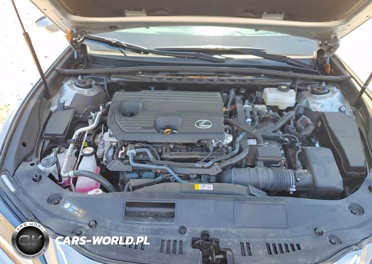 2025 Lexus Es 300H Luxury VIN:58AEA1C17SU063321 - 11