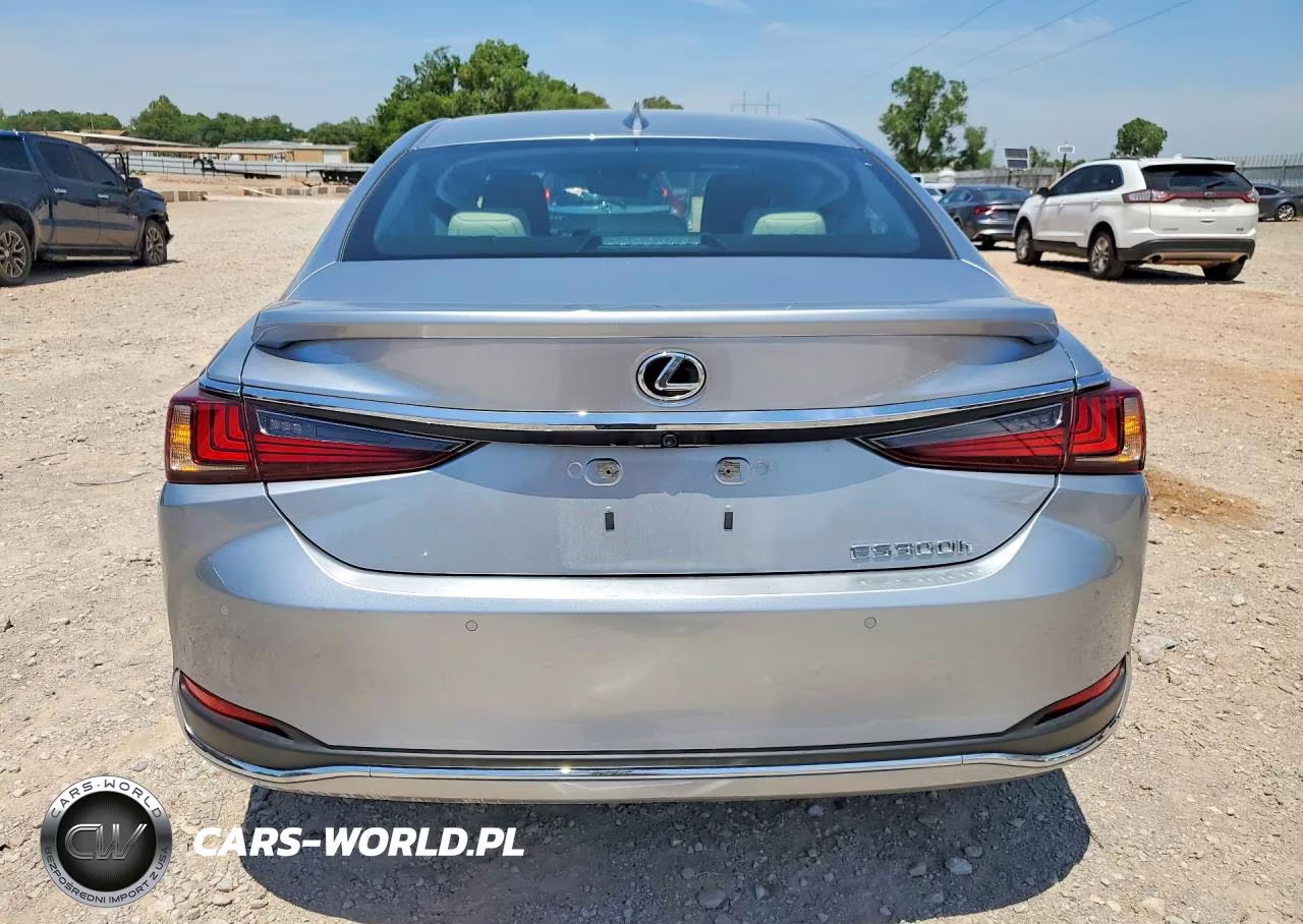2025 Lexus Es 300H Luxury VIN:58AEA1C17SU063321 - 6