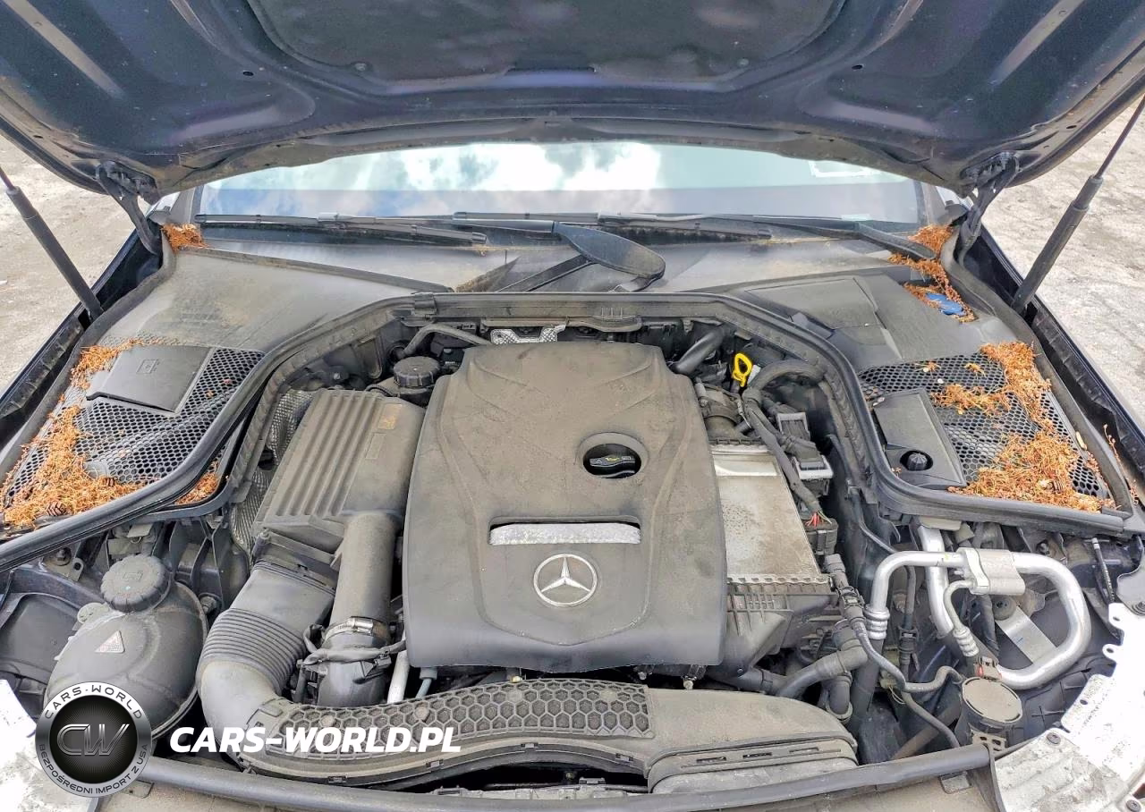 2017 Mercedes-Benz C 300 4Matic VIN:55SWF4KB1HU196296 - 11