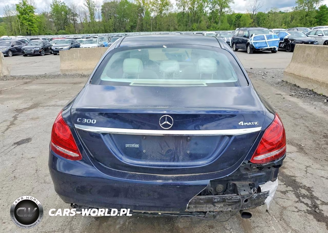 2017 Mercedes-Benz C 300 4Matic VIN:55SWF4KB1HU196296 - 6