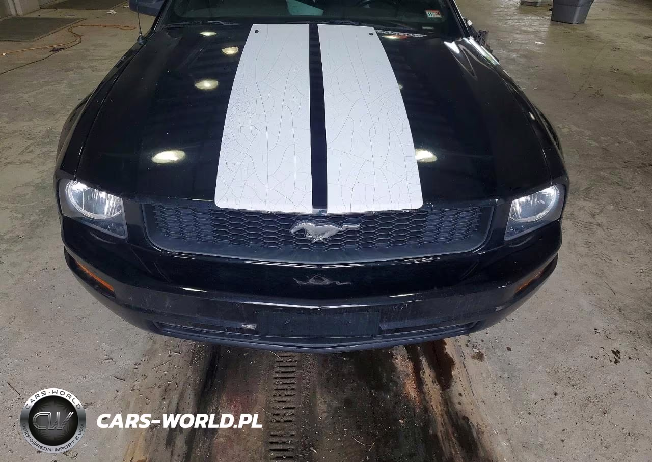 2007 Ford Mustang VIN:1ZVHT80N175216521 - 11