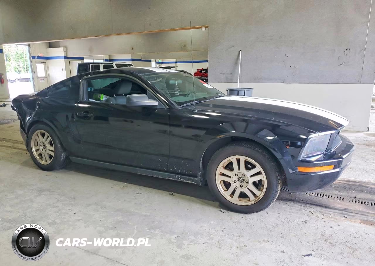 2007 Ford Mustang VIN:1ZVHT80N175216521 - 4