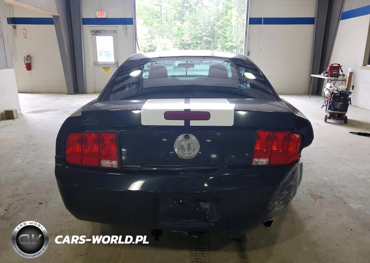 2007 Ford Mustang VIN:1ZVHT80N175216521 - 6