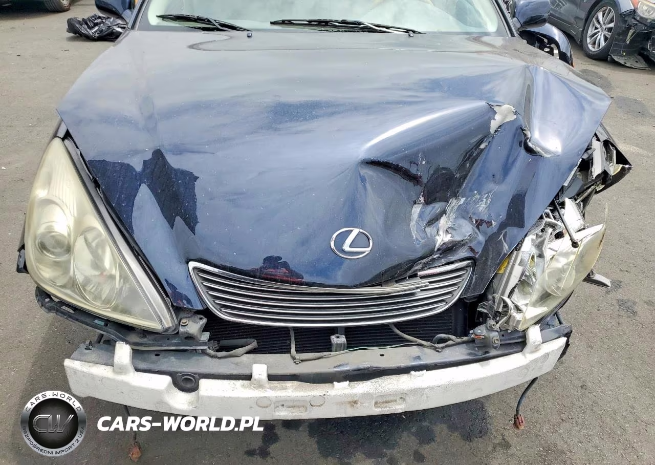 2006 Lexus Es 330 VIN:JTHBA30G165145966 - 11