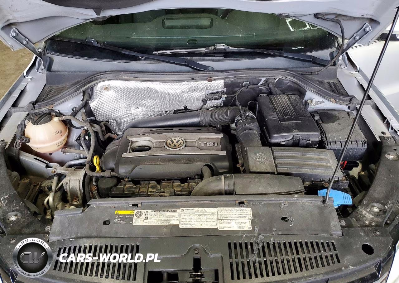 2014 Volkswagen Tiguan S VIN:WVGBV3AX7EW602272 - 12