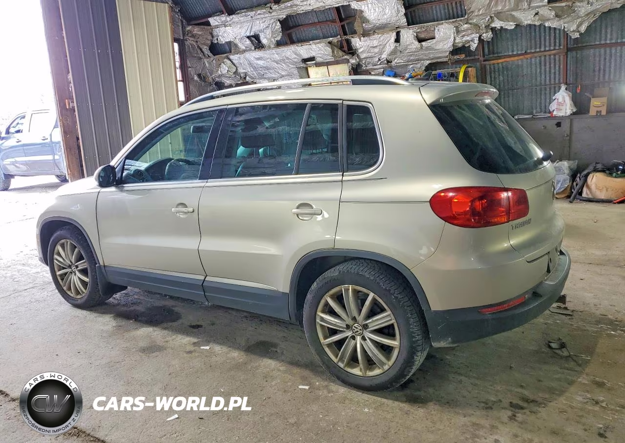2014 Volkswagen Tiguan S VIN:WVGBV3AX7EW602272 - 2