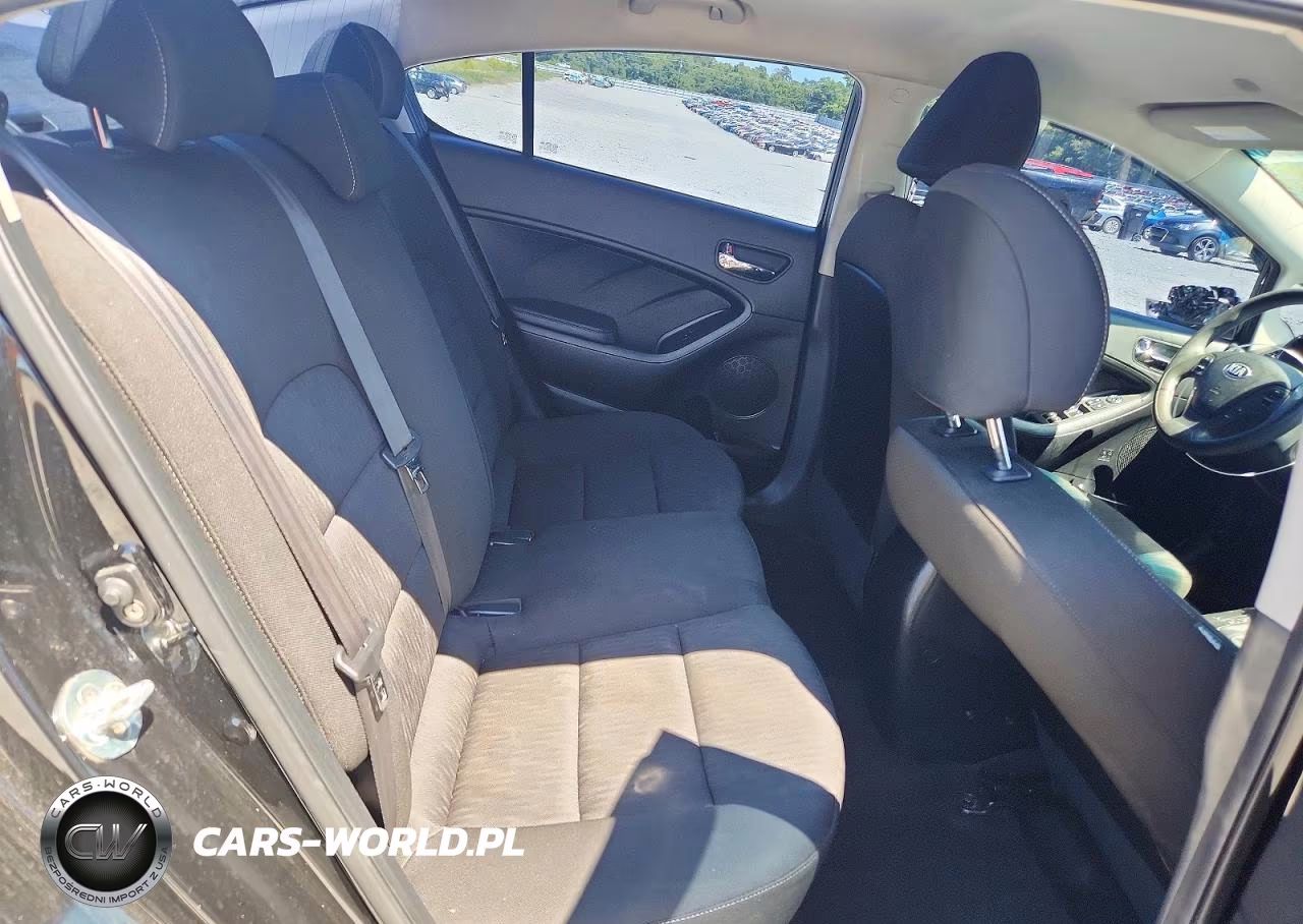 2016 Kia Forte Lx VIN:KNAFK4A60G5601157 - 10