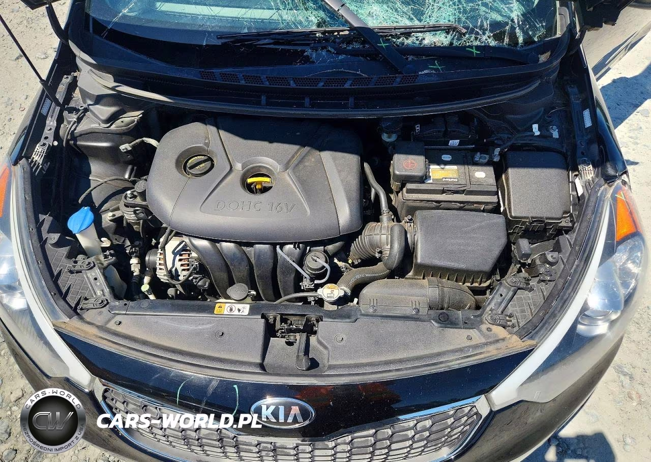 2016 Kia Forte Lx VIN:KNAFK4A60G5601157 - 11