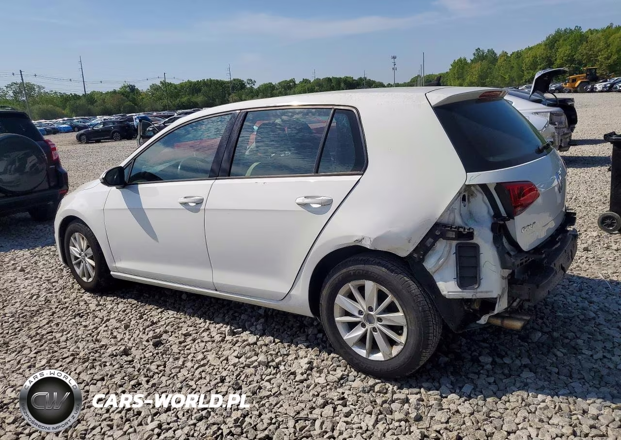 2015 Volkswagen Golf VIN:3VW217AU7FM035220 - 2