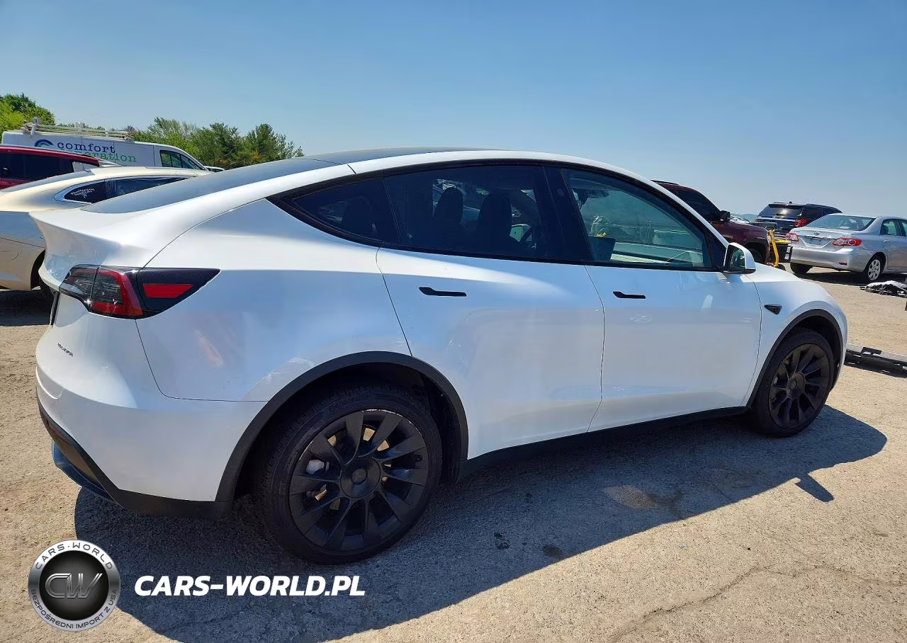 2023 Tesla Model Y VIN:7SAYGDEE1PA180885 - 3