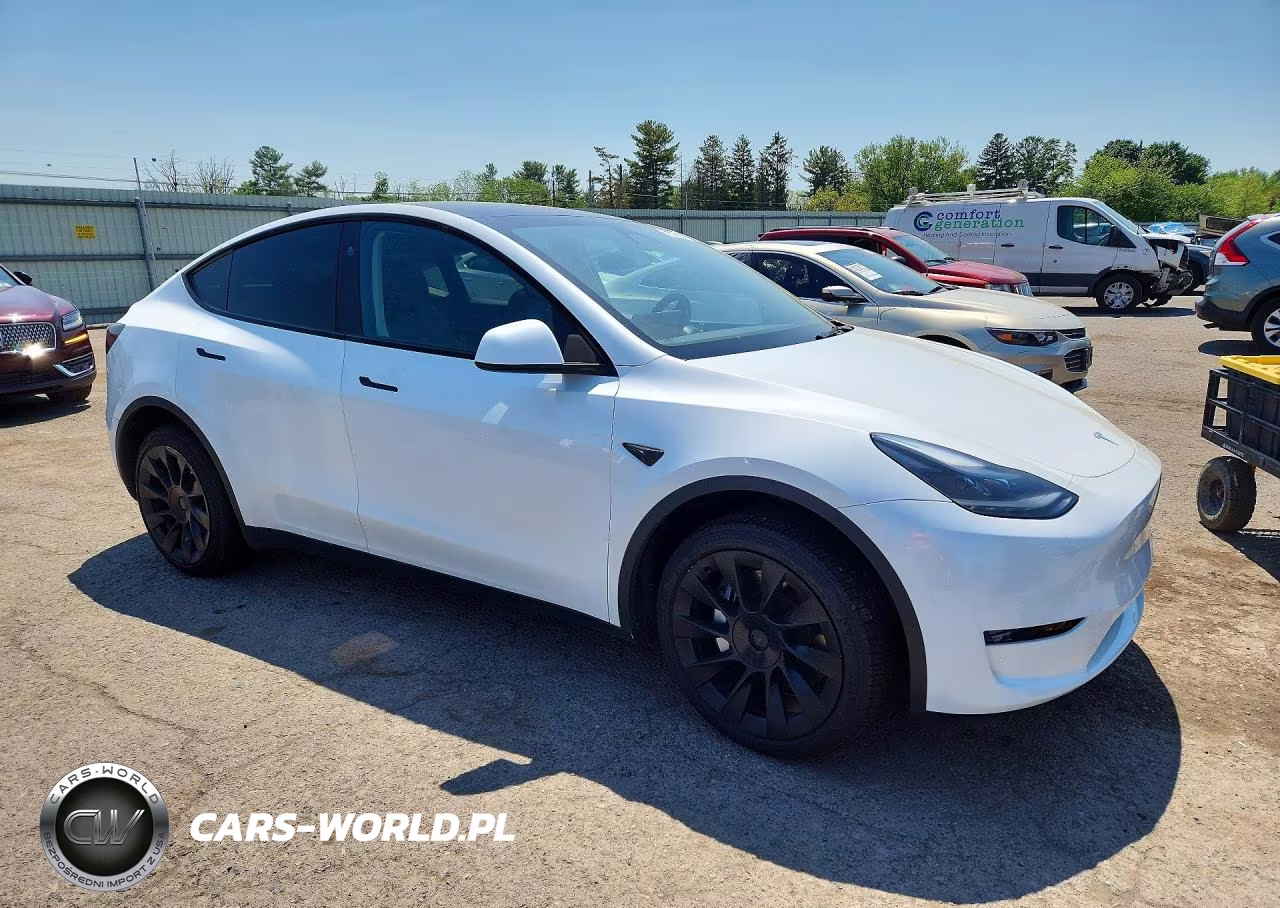 2023 Tesla Model Y VIN:7SAYGDEE1PA180885 - 4