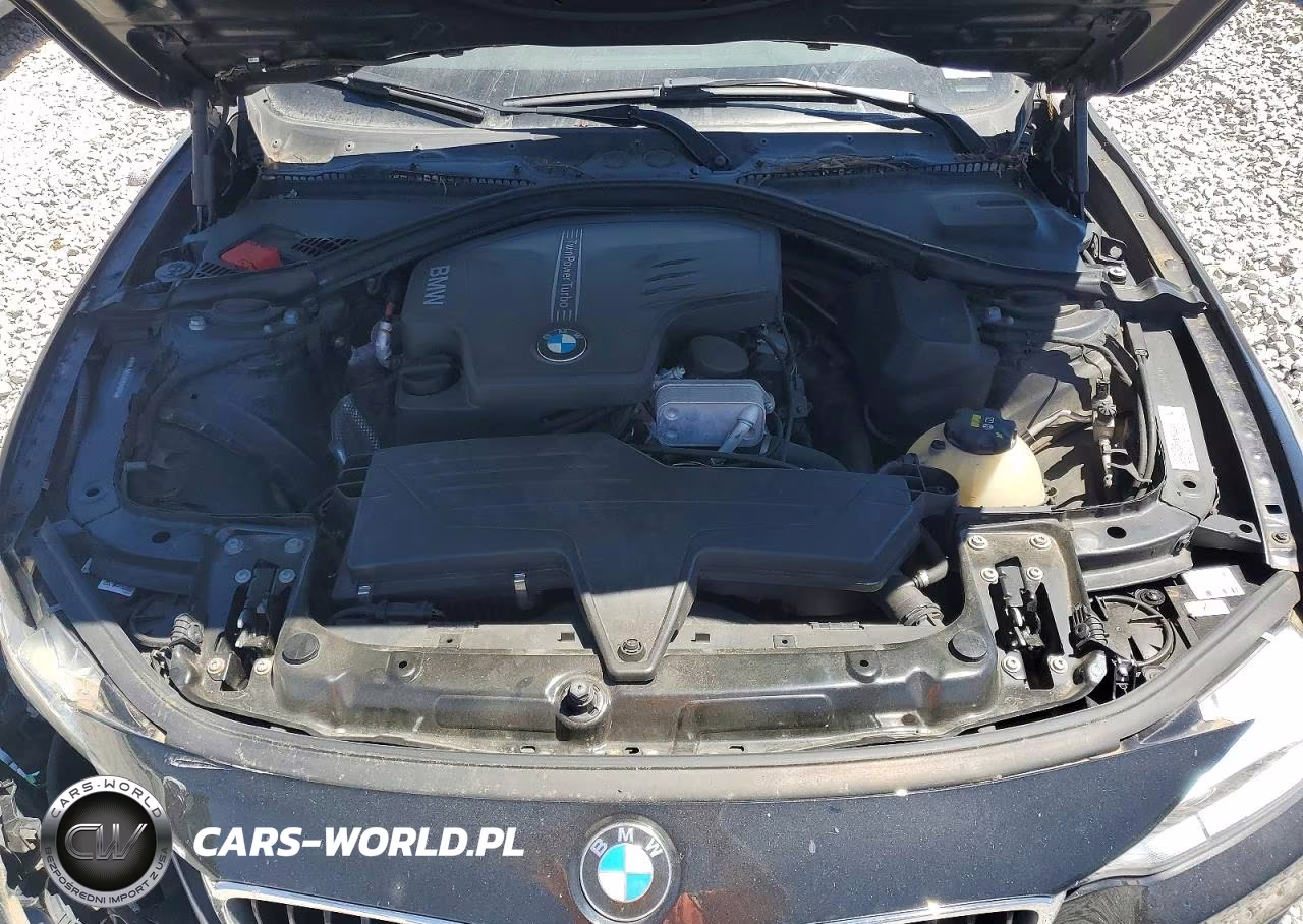 2015 BMW 428 Xi VIN:WBA3N9C52FK246116 - 11