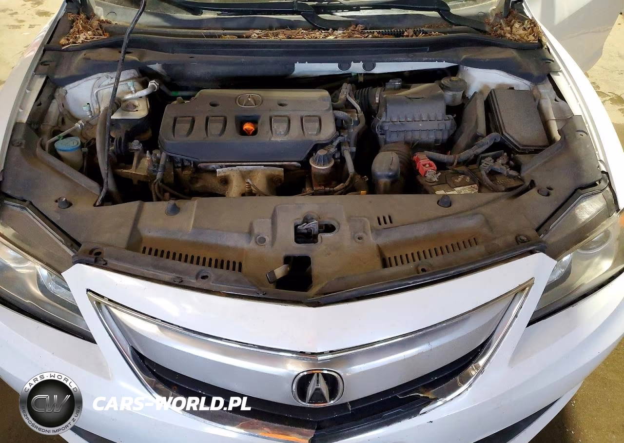 2013 Acura Ilx 20 Premium VIN:19VDE1F56DE013563 - 11