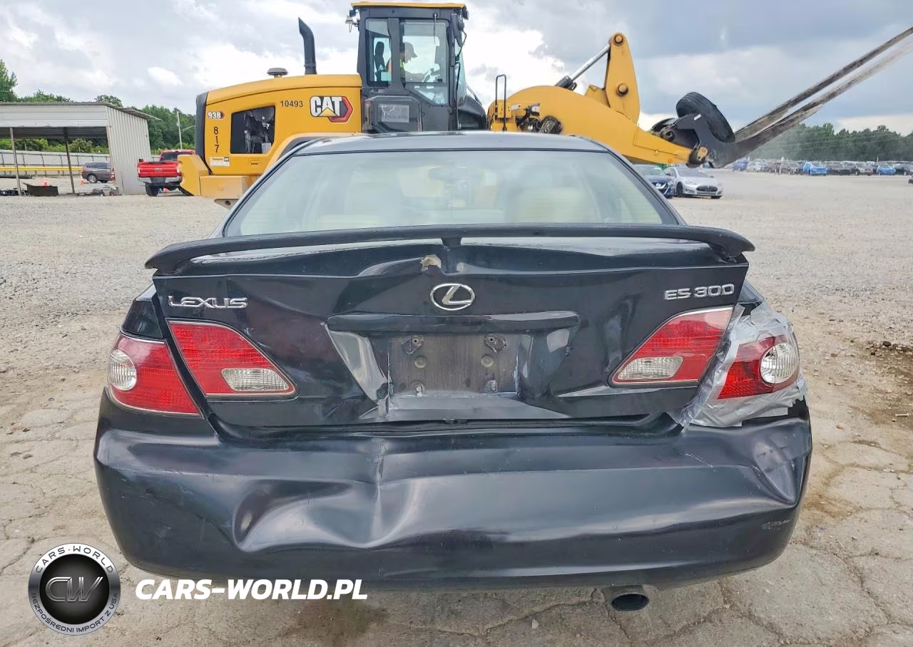 2003 Lexus Es 300 VIN:JTHBF30G530128629 - 6