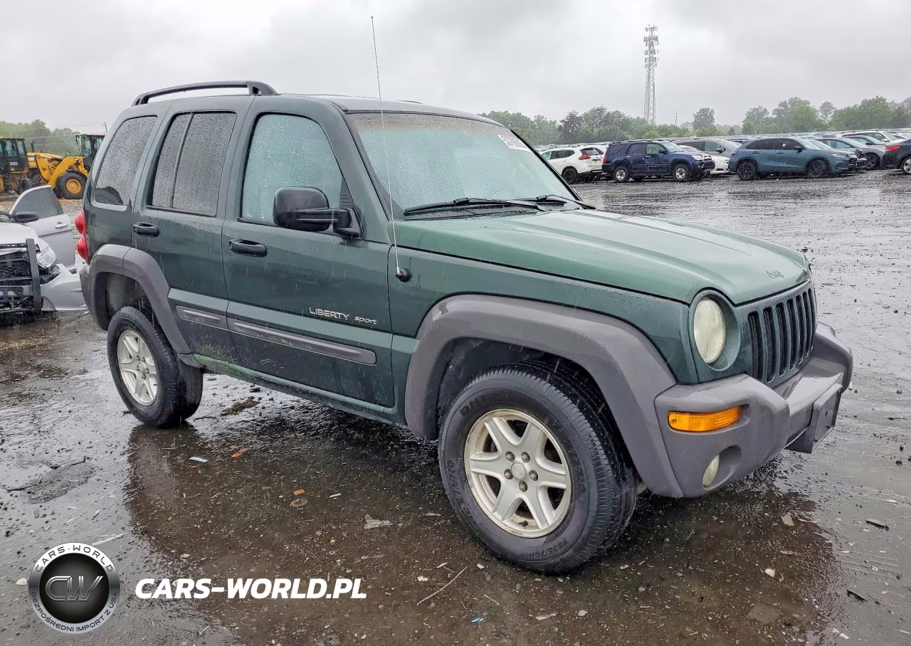 2002 Jeep Liberty VIN:1J4GL48K02W302319 - 4