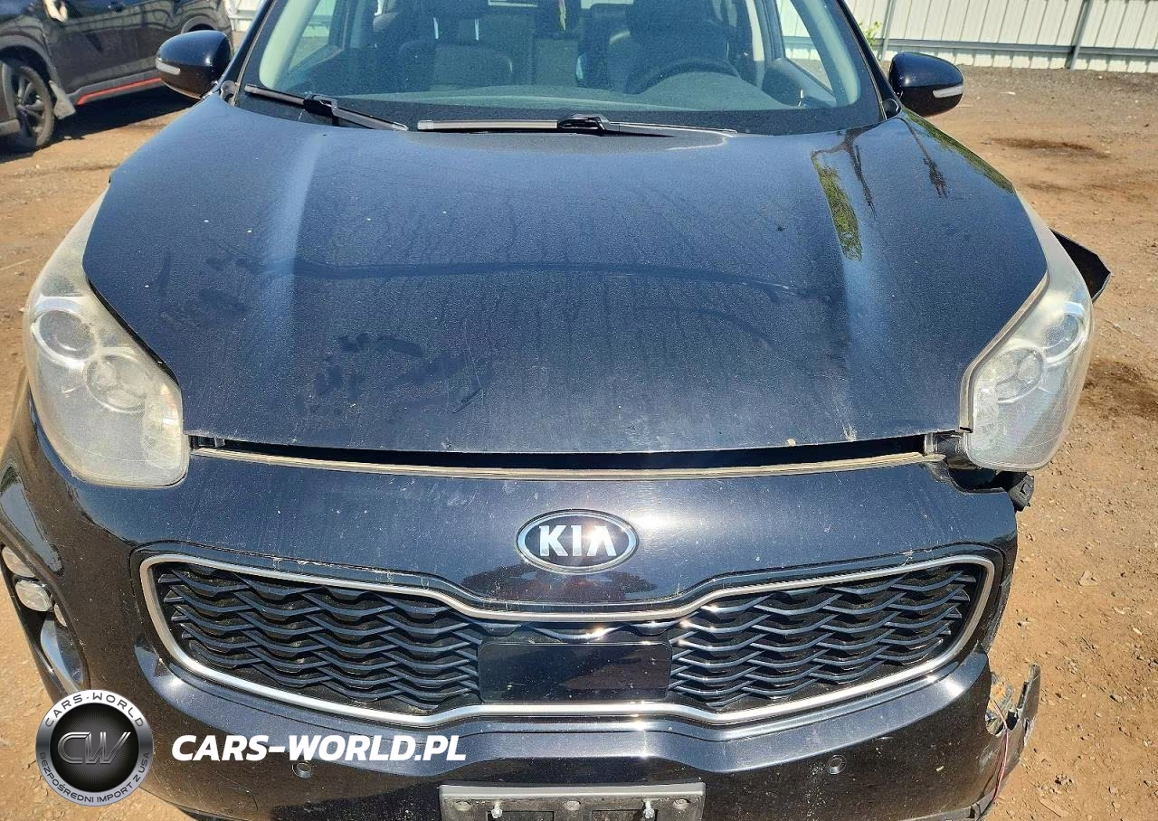 2017 Kia Sportage Sx VIN:KNDPRCA66H7184341 - 11