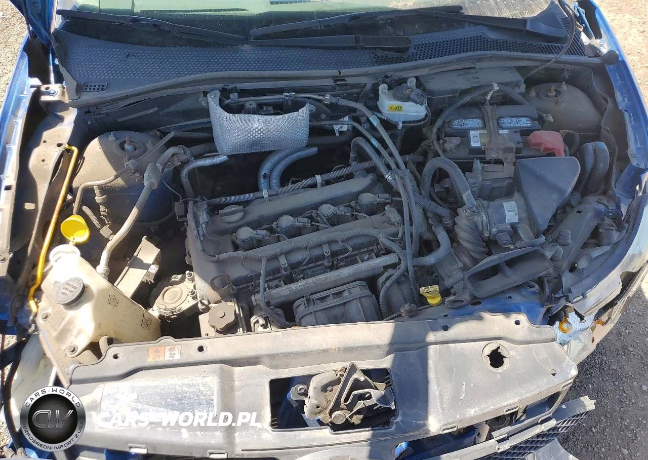2010 Ford Focus VIN:1FAHP3HN3AW195743 - 11