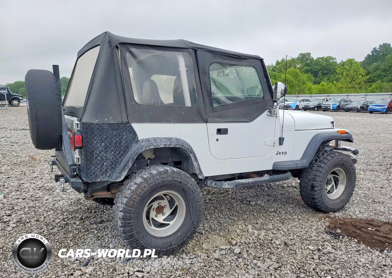 1993 Jeep Wrangler - Yj S VIN:1J4FY19PXPP241987 - 3