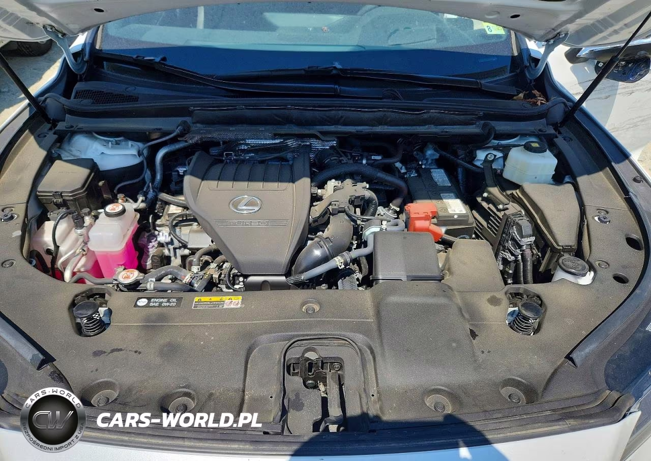 2024 Lexus Rx 350 Luxury VIN:2T2BAMCA1RC080201 - 12