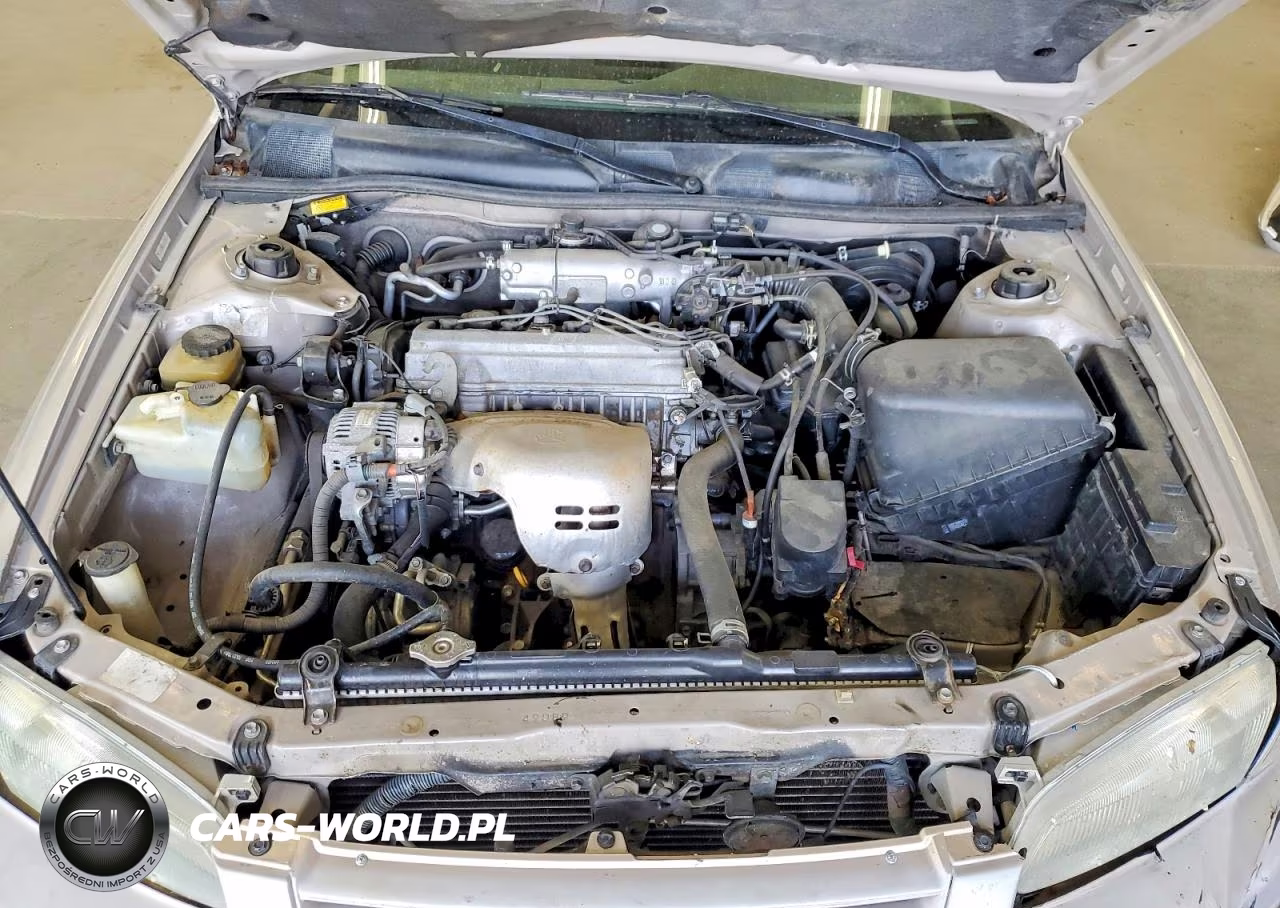 1999 Toyota Camry Le VIN:4T1BG22K8XU446300 - 11