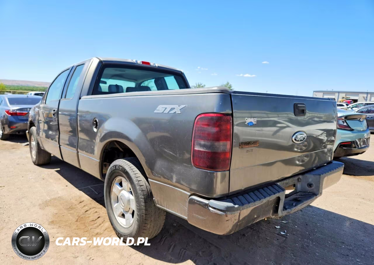 2004 Ford F150 VIN:1FTRX12W64NB89496 - 2