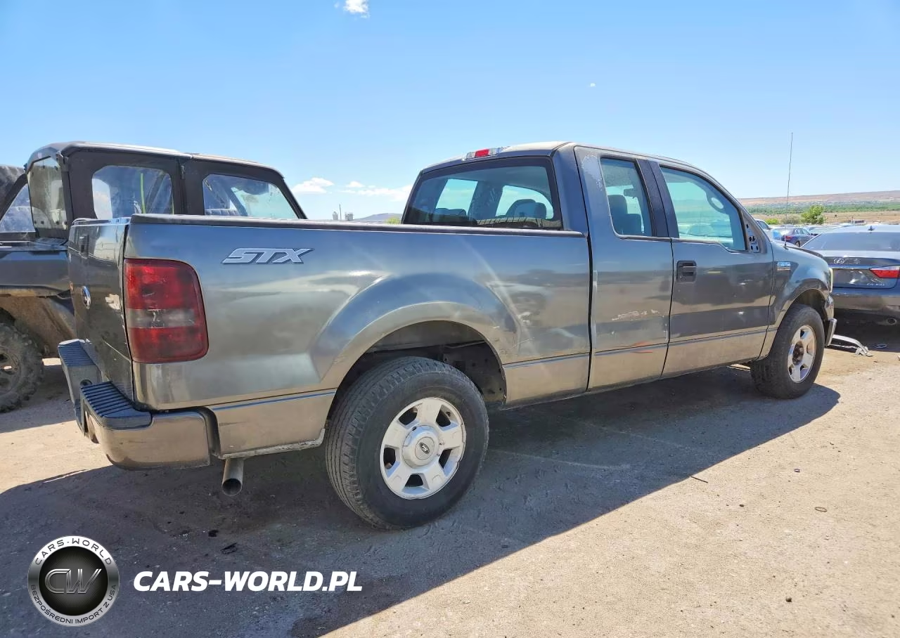 2004 Ford F150 VIN:1FTRX12W64NB89496 - 3