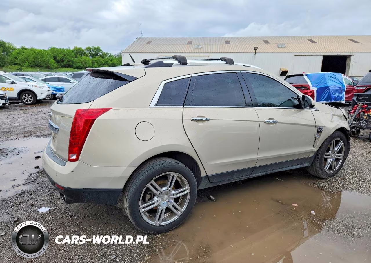 2010 Cadillac Srx Luxury Collection VIN:3GYFNAEYXAS654590 - 3