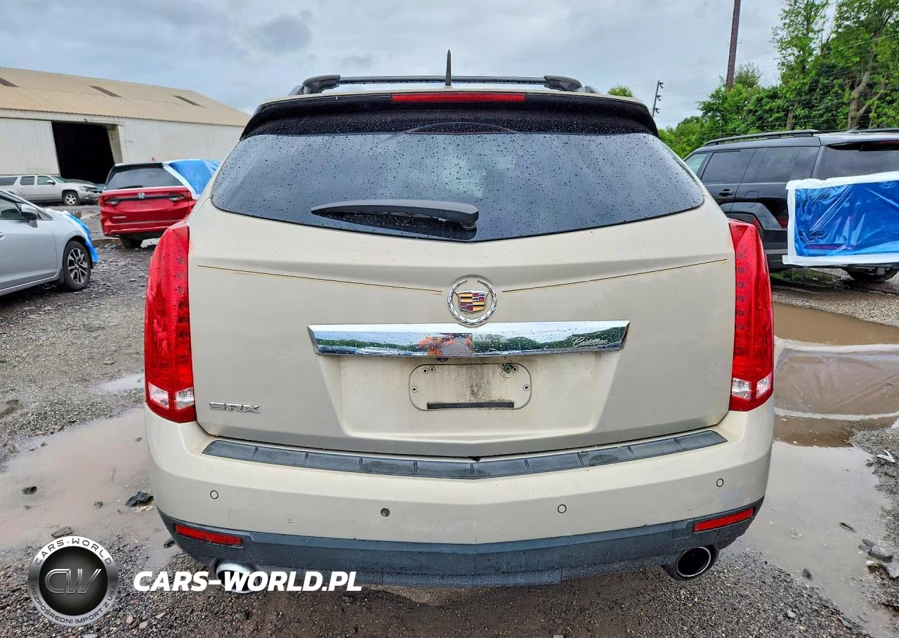 2010 Cadillac Srx Luxury Collection VIN:3GYFNAEYXAS654590 - 6
