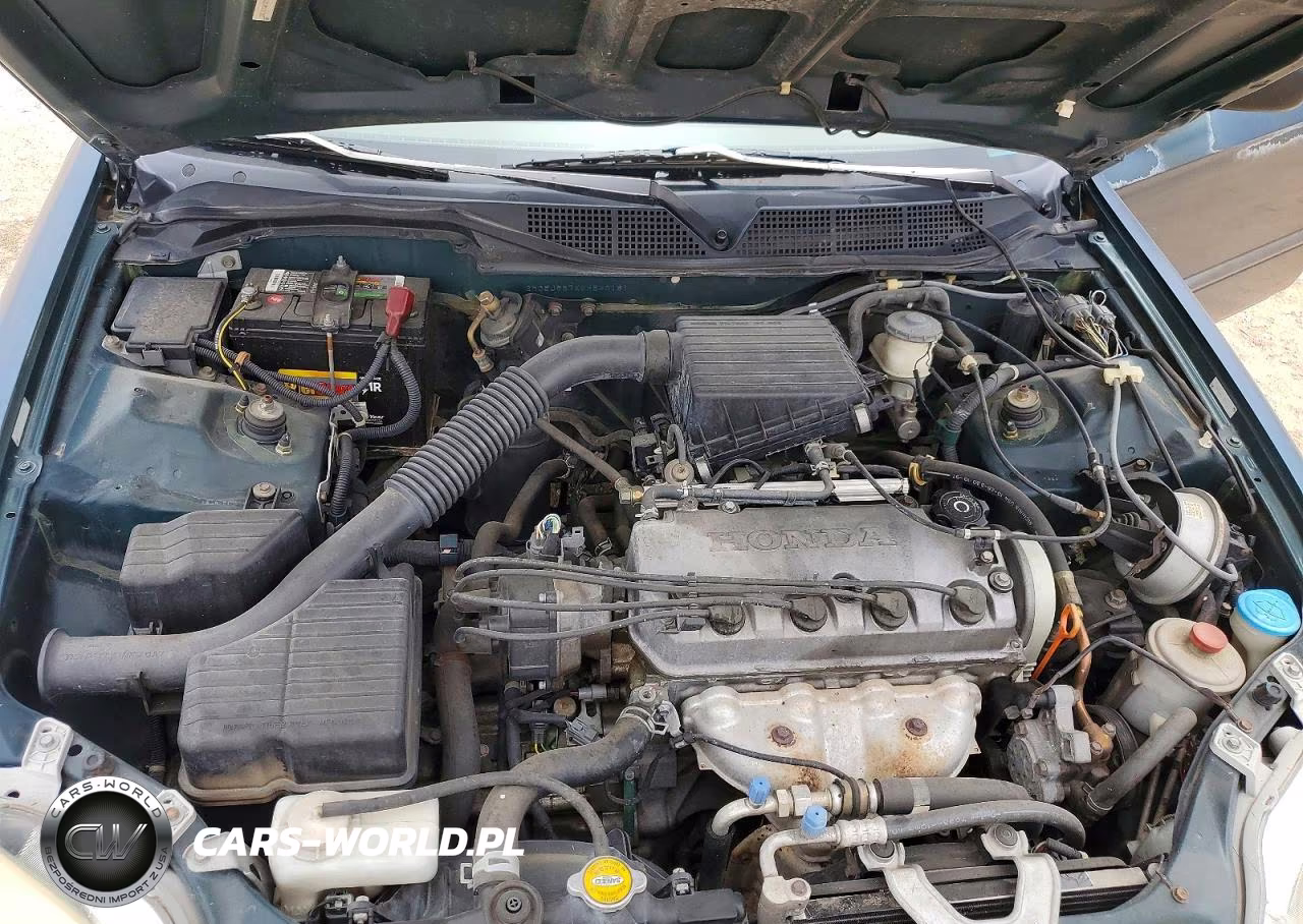 1998 Honda Civic Lx VIN:2HGEJ667XWH540181 - 11