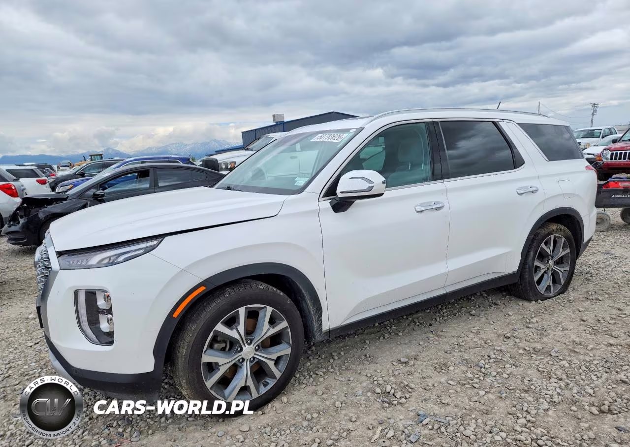 2020 Hyundai Palisade Sel