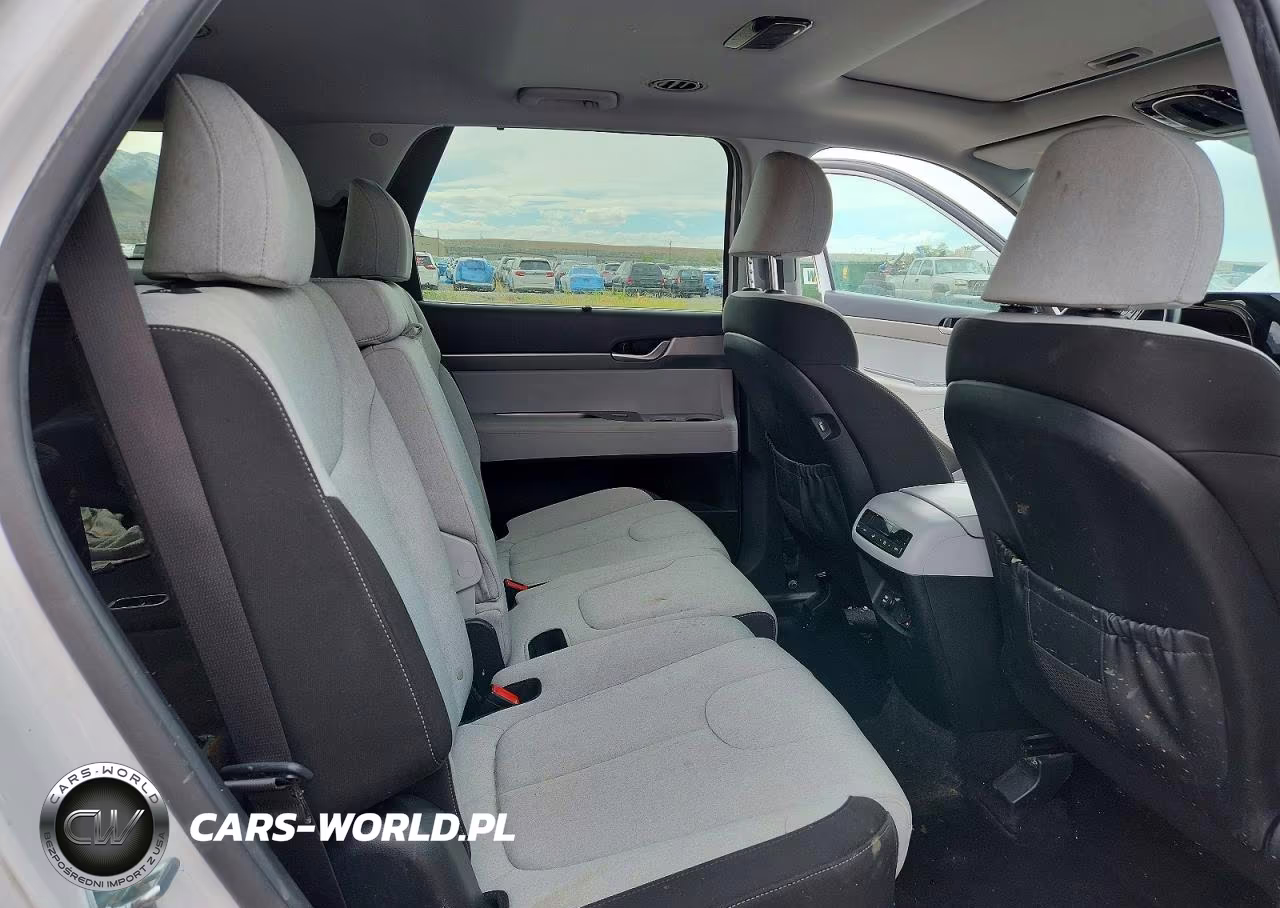 2020 Hyundai Palisade Sel VIN:KM8R3DHE3LU081381 - 11