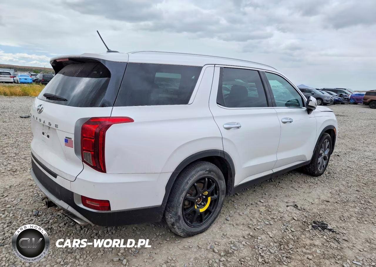 2020 Hyundai Palisade Sel VIN:KM8R3DHE3LU081381 - 3