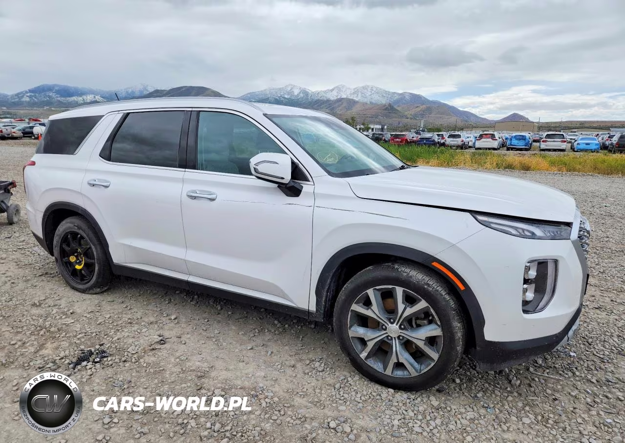 2020 Hyundai Palisade Sel VIN:KM8R3DHE3LU081381 - 4
