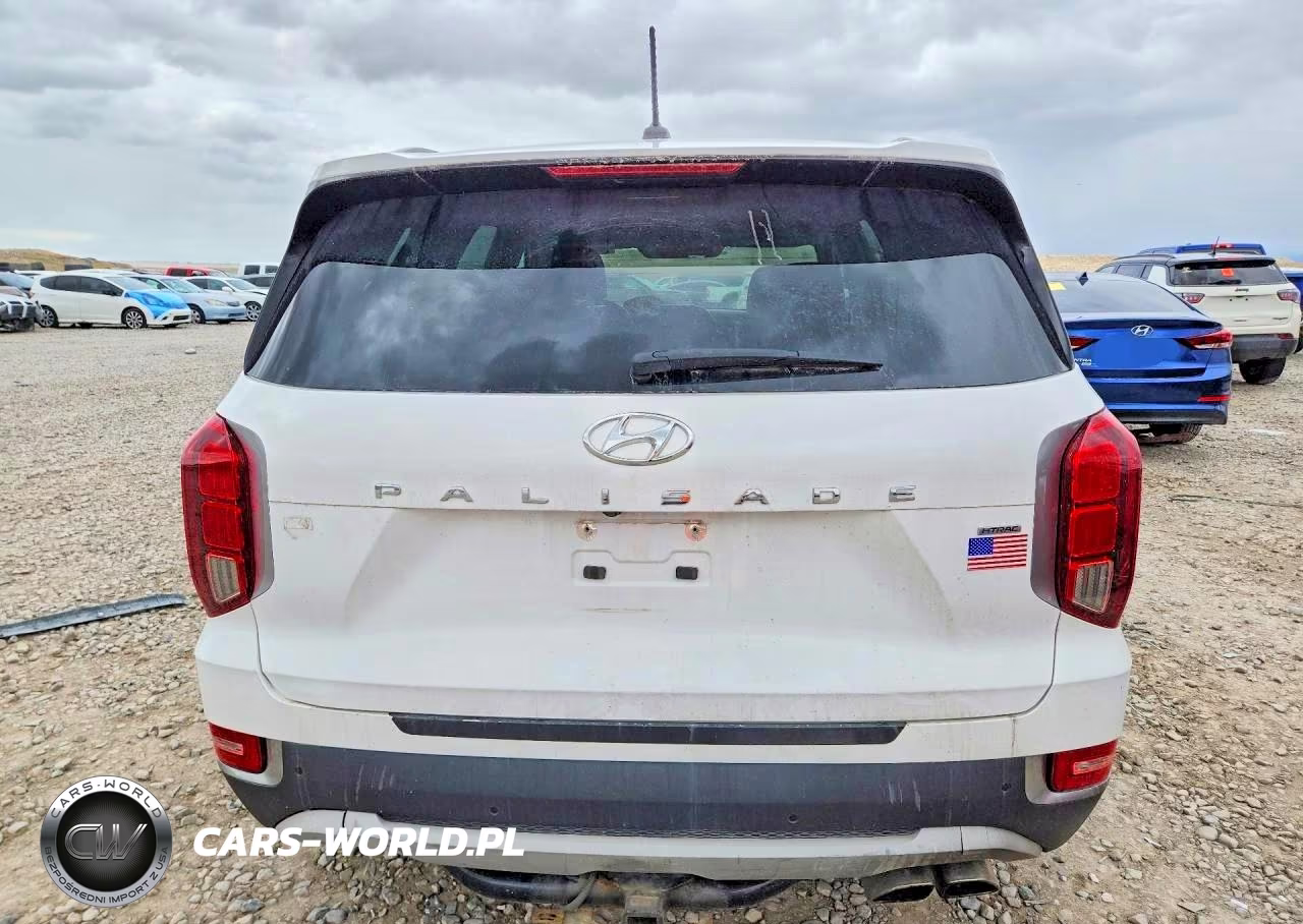 2020 Hyundai Palisade Sel VIN:KM8R3DHE3LU081381 - 6