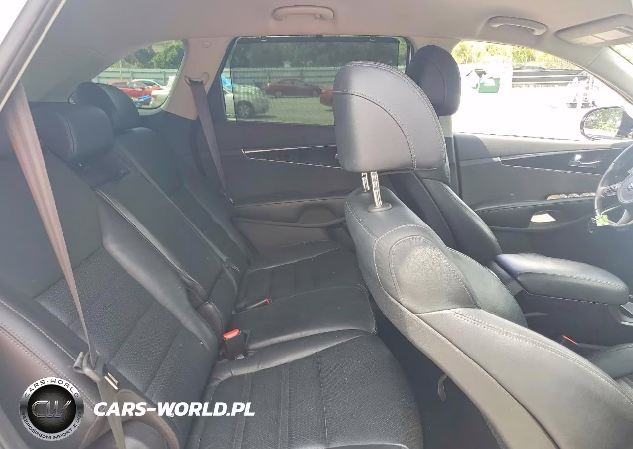 2017 Kia Sorento Ex VIN:5XYPH4A16HG296797 - 10
