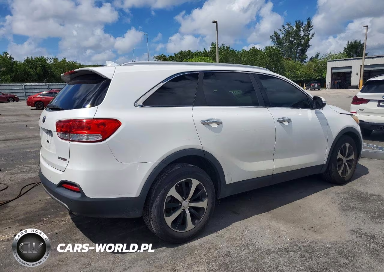 2017 Kia Sorento Ex VIN:5XYPH4A16HG296797 - 3