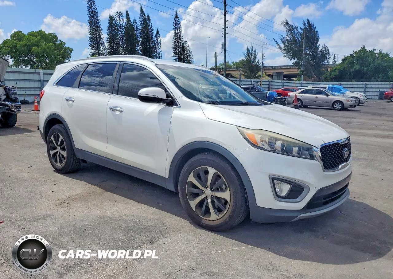 2017 Kia Sorento Ex VIN:5XYPH4A16HG296797 - 4