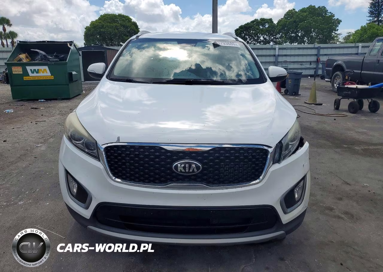 2017 Kia Sorento Ex VIN:5XYPH4A16HG296797 - 5