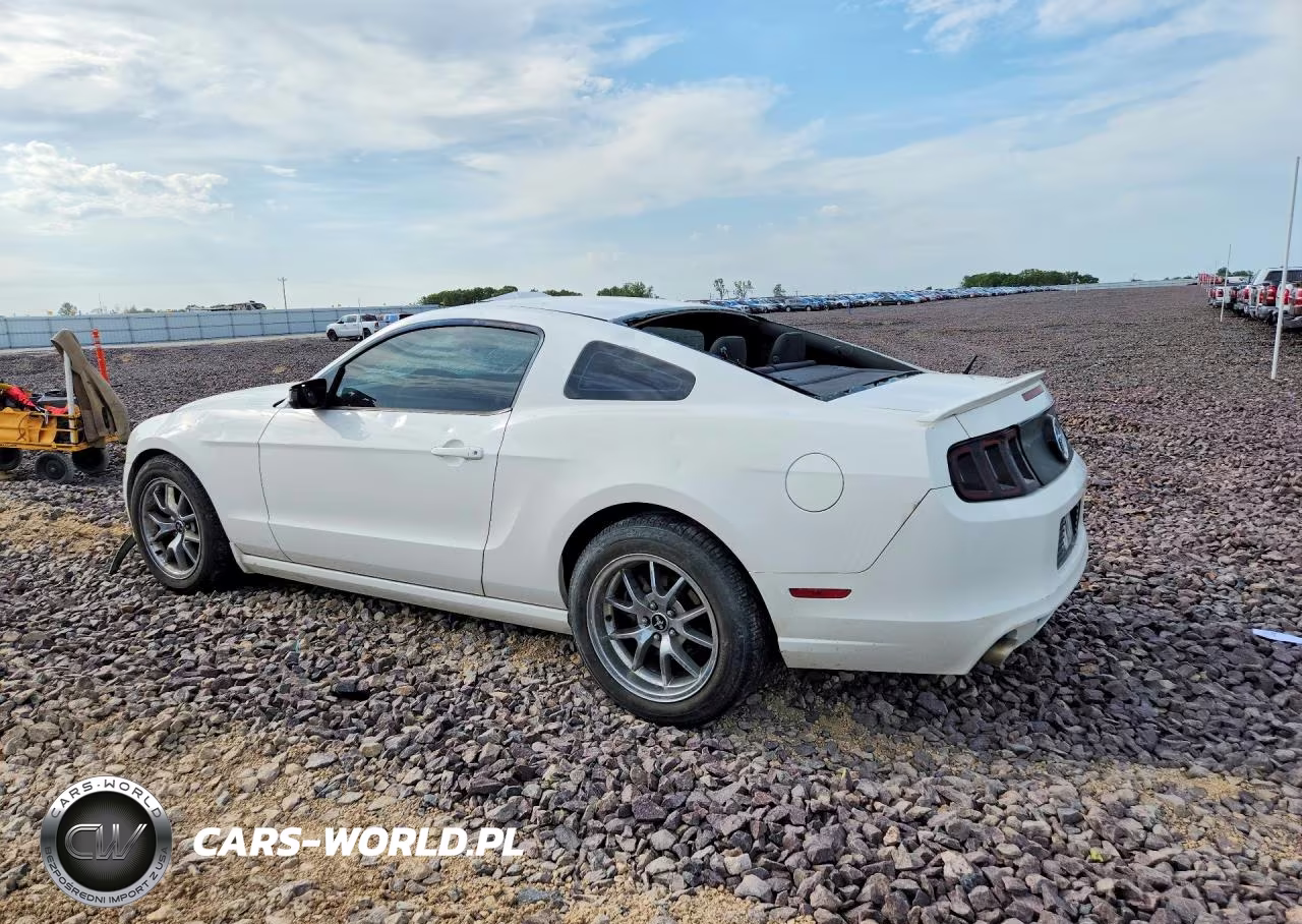2013 Ford Mustang VIN:1ZVBP8AM1D5269621 - 2