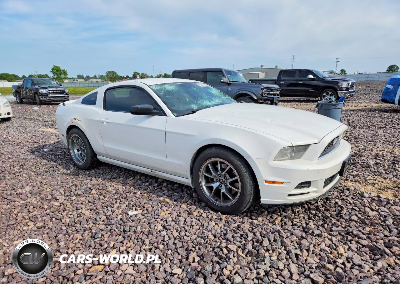 2013 Ford Mustang VIN:1ZVBP8AM1D5269621 - 4