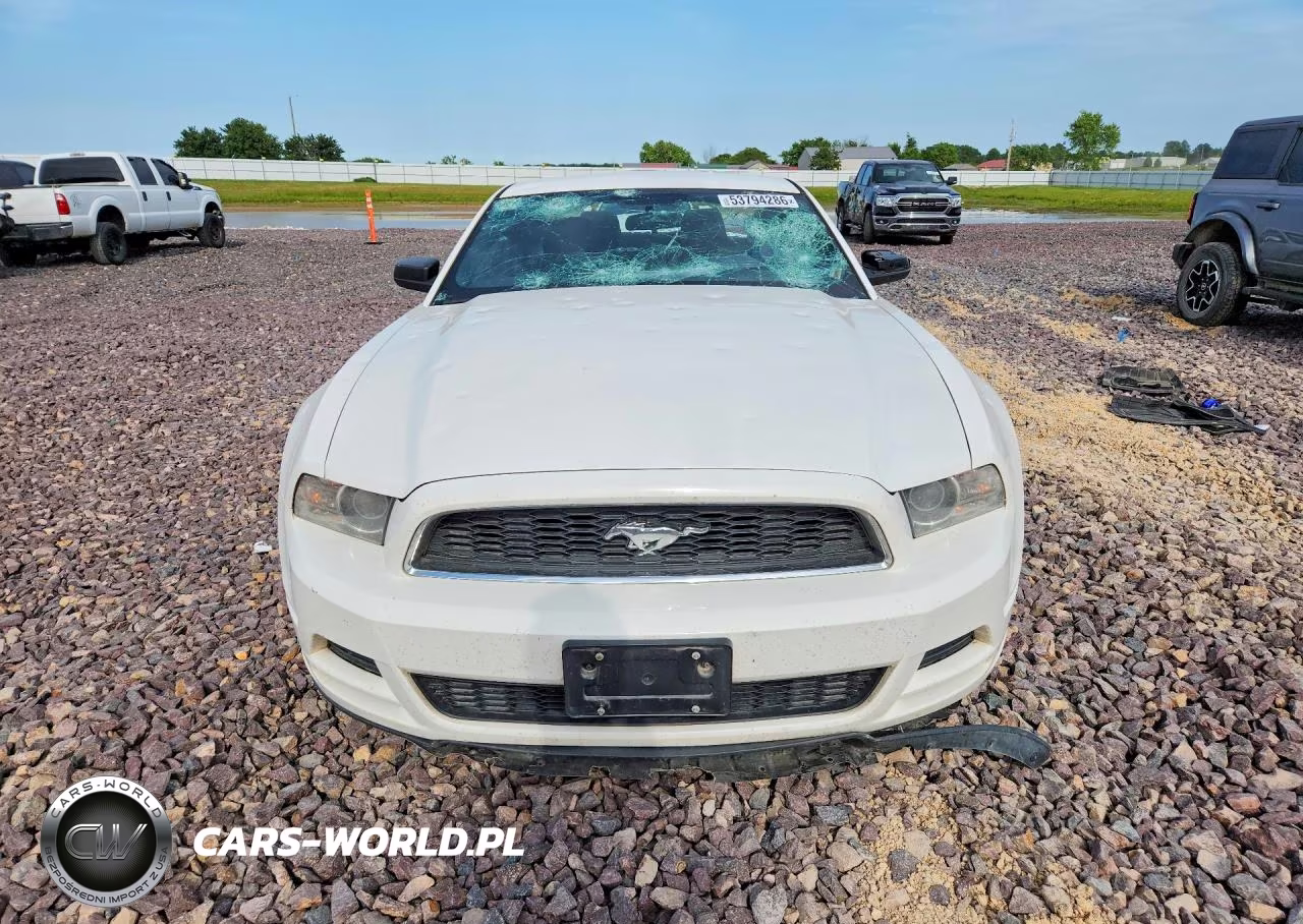 2013 Ford Mustang VIN:1ZVBP8AM1D5269621 - 5