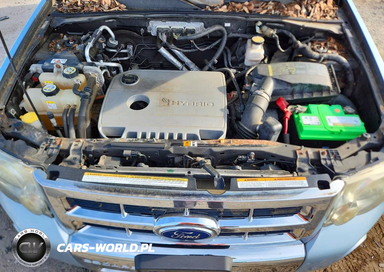 2009 Ford Escape Hybrid VIN:1FMCU59399KD03545 - 12