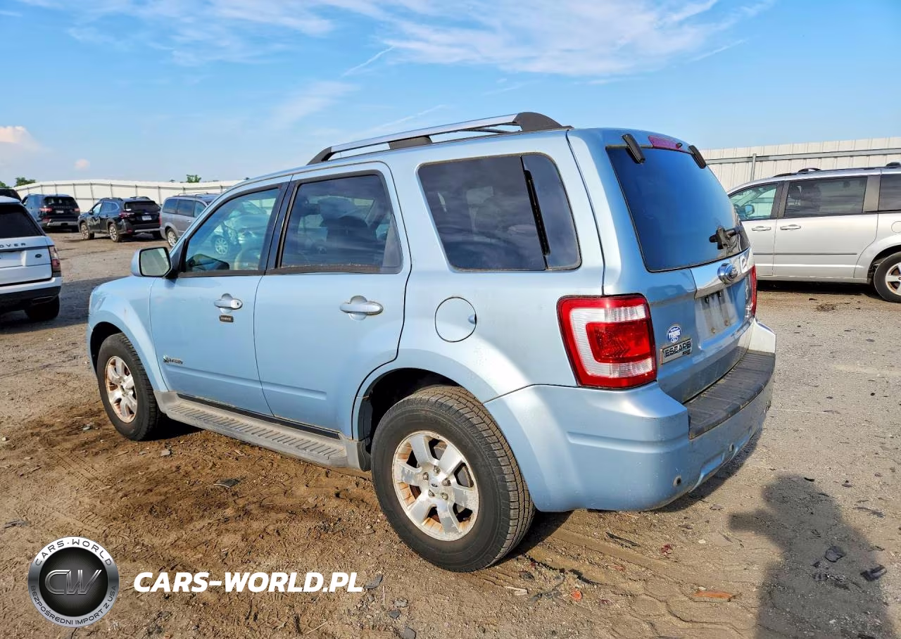 2009 Ford Escape Hybrid VIN:1FMCU59399KD03545 - 2