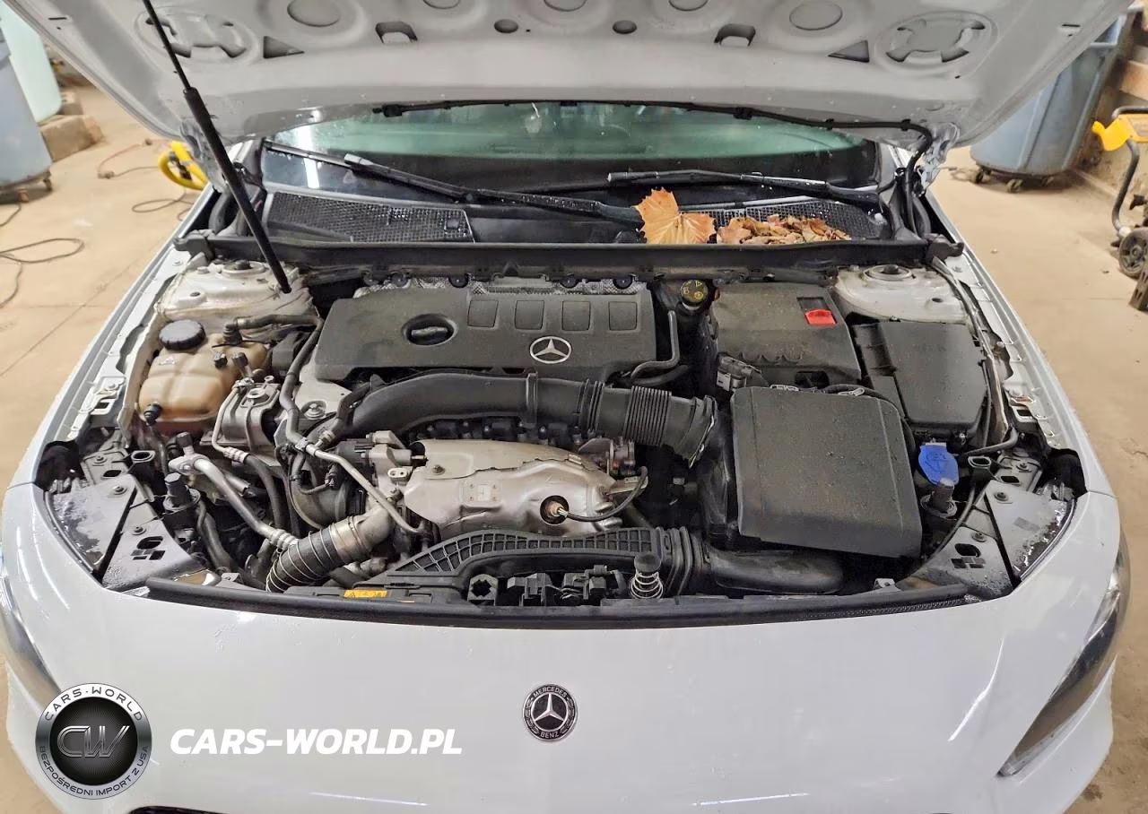 2019 Mercedes-Benz A 220 VIN:WDD3G4EB2KW033629 - 11